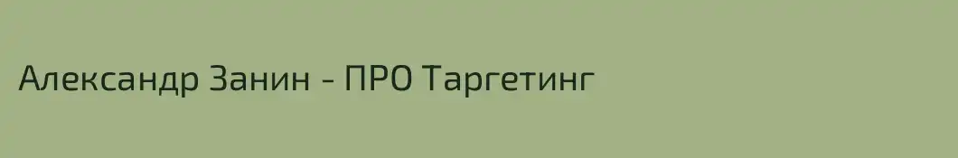 Александр Занин - ПРО Таргетинг
